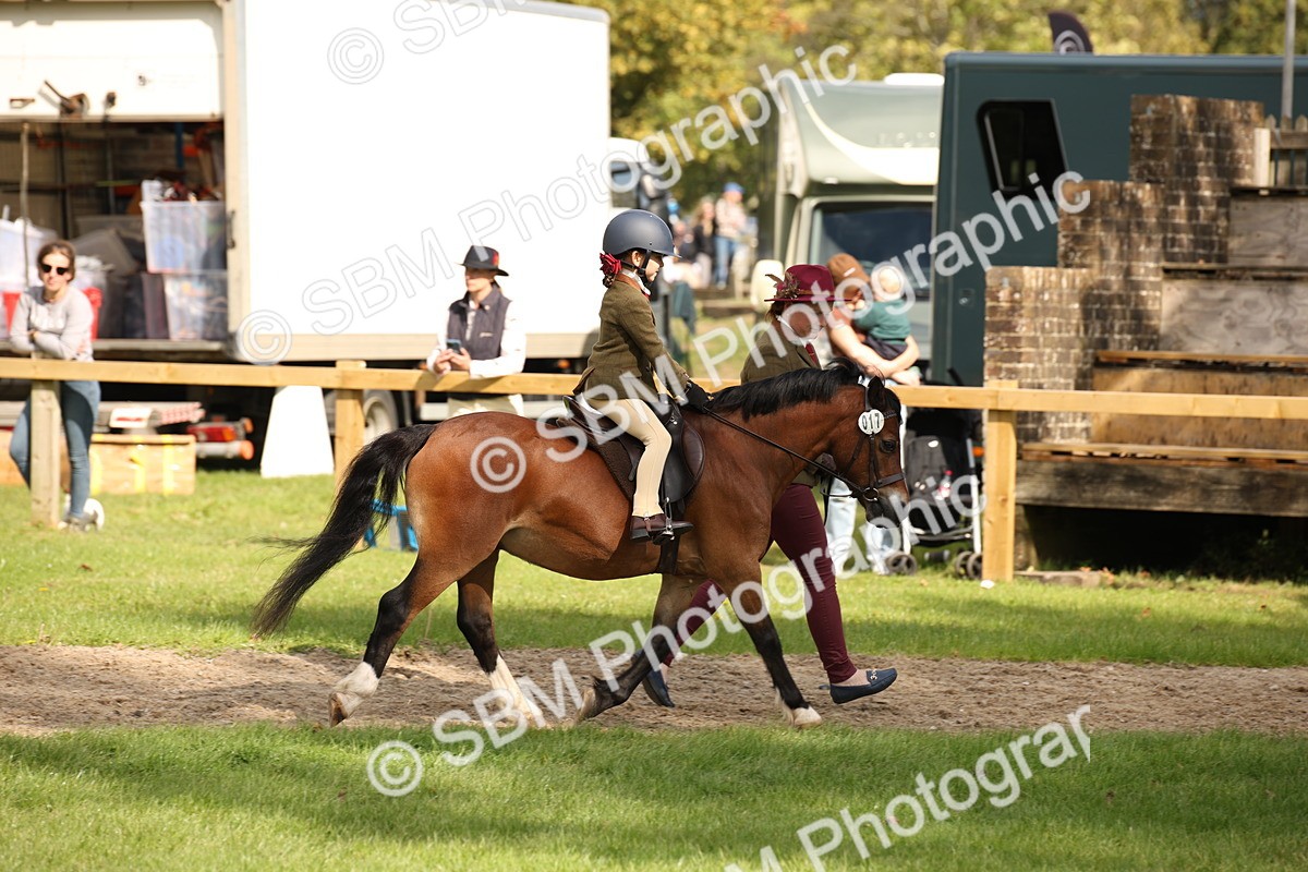 SBM_49992 - S26 - Young Veteran - Ridden
