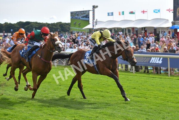 yr08072022r5-20 - Race 5 4.25pm Azets Stakes