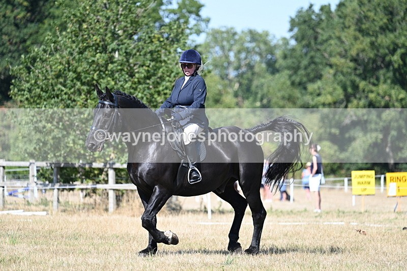 WJ7_9890 - Time 11:03 to 11:28