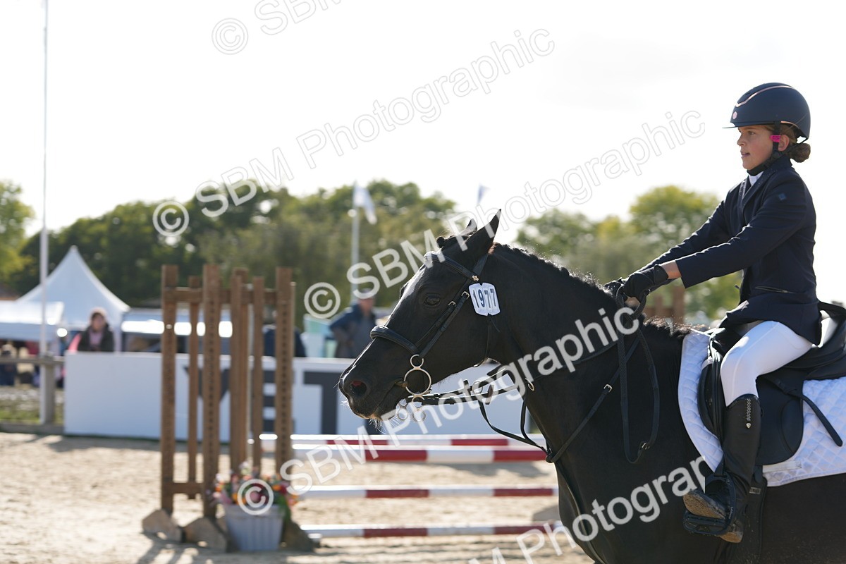 SBM_49417 - J8 - Junior Pony 65cm Championship