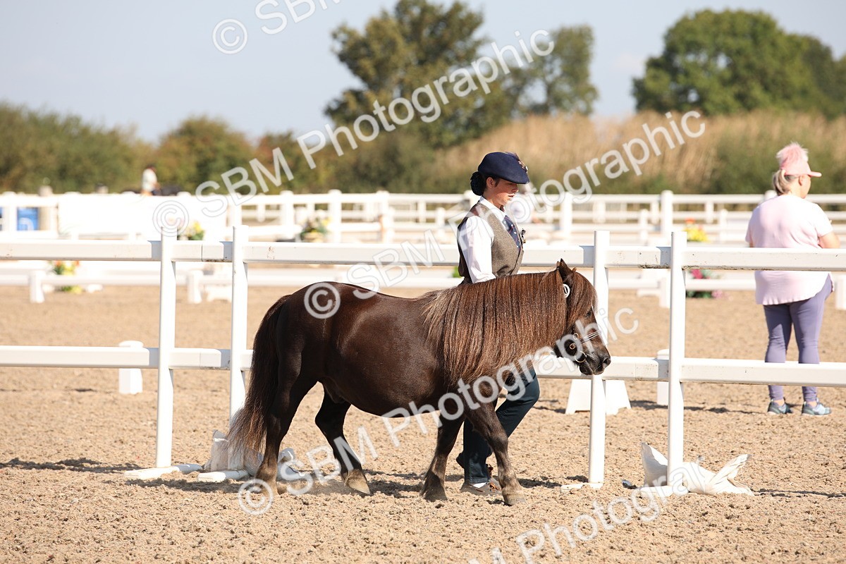 SBM_02661 - Class 16 IH M&M Wildcard