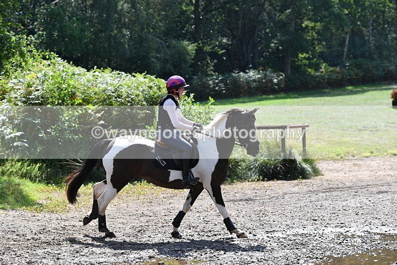 WJ5_3196 - XC Time 13:03 to 13:28