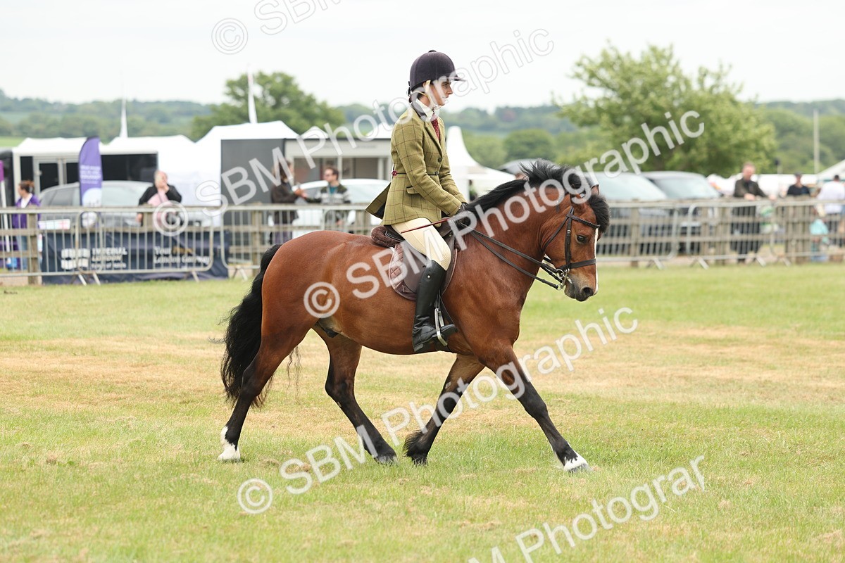 SBM_07193 - Class 76-77 - Ridden M&M Welsh Ponies
