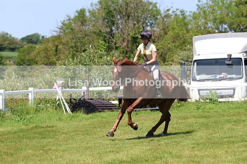 3E7A8088 - Working Hunter Championship