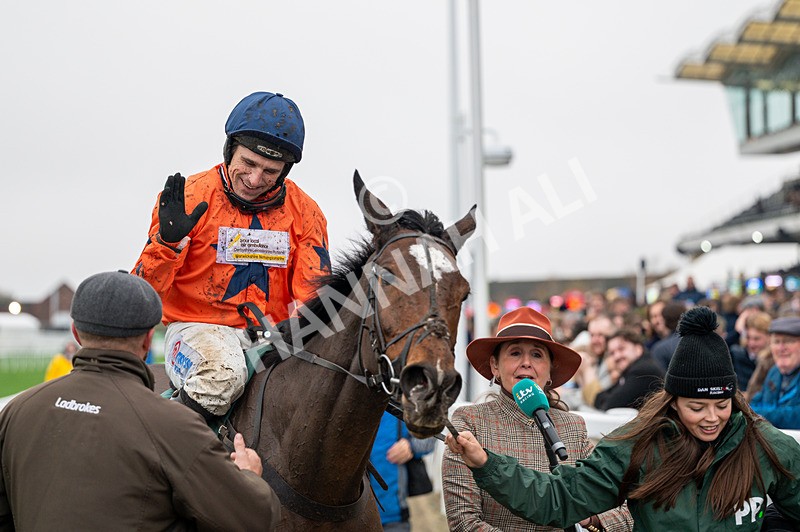 151125-Race 4-Panic Attack-0902 - Race 4