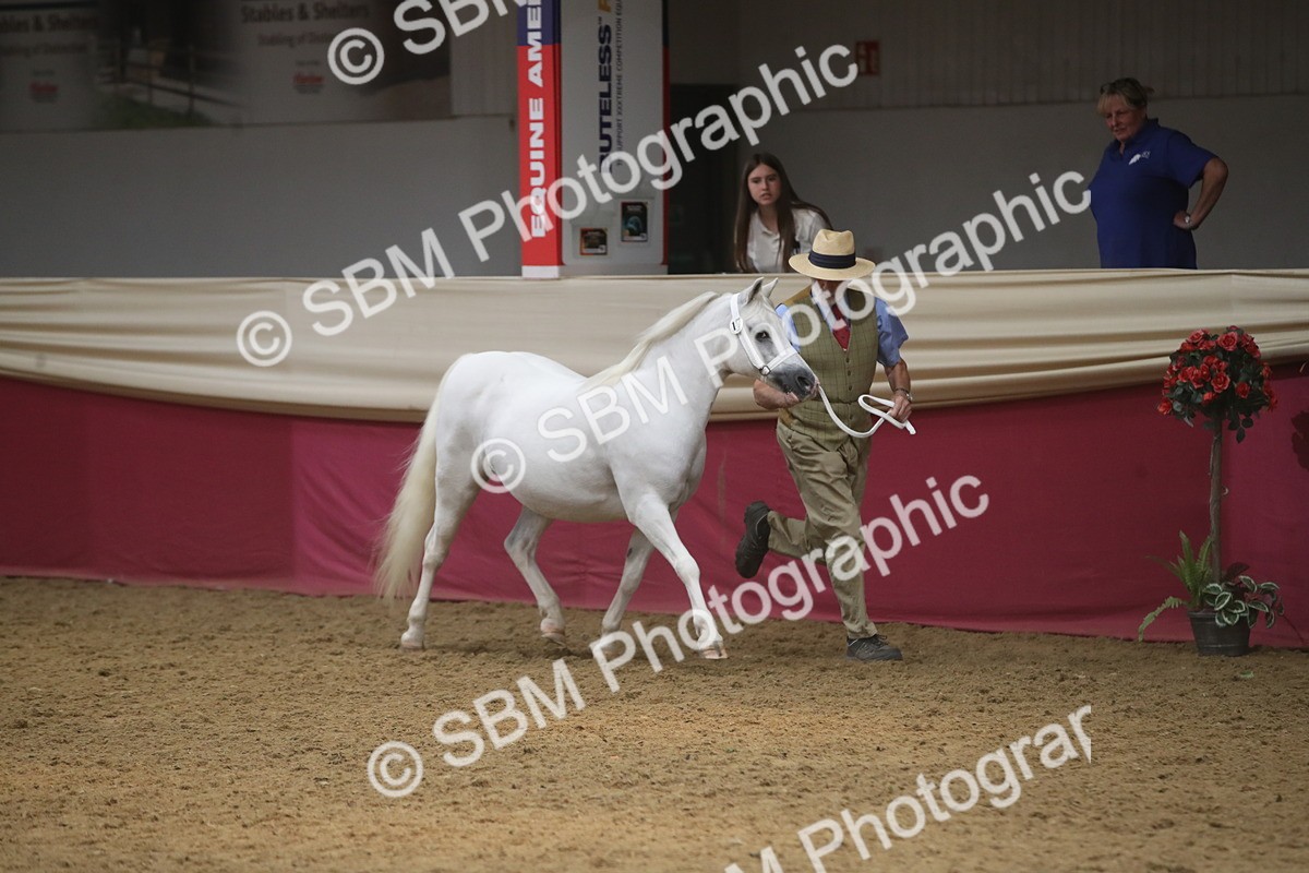 SBM_05529 - Class 9R - Regional IH Pre-Vet