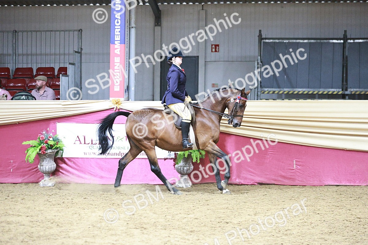 SBM_08022 - Class 11R - Regional Ridden Veteran