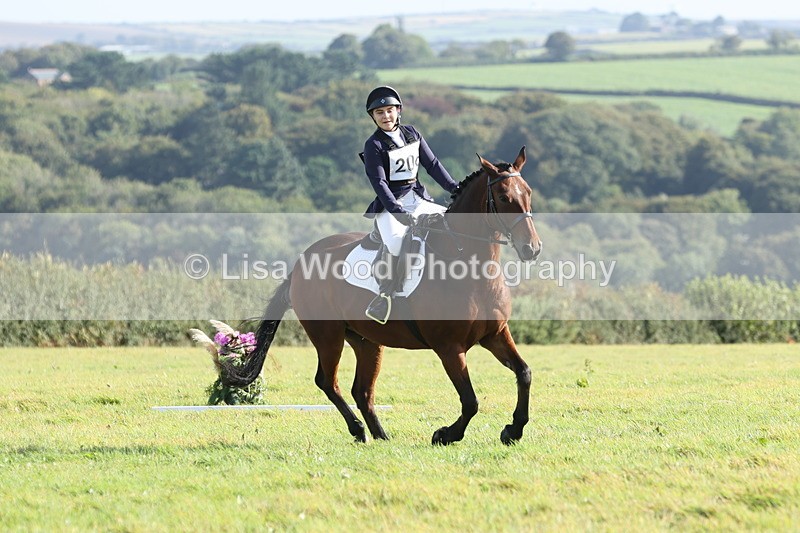 JPP_7950 - Class 2A: Trekenning Open: Dressage