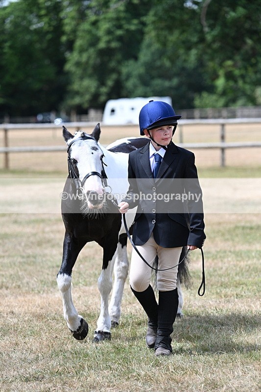 WJ7_1635 - Class 4 Prettiest Mare up to 14.2hh in hand