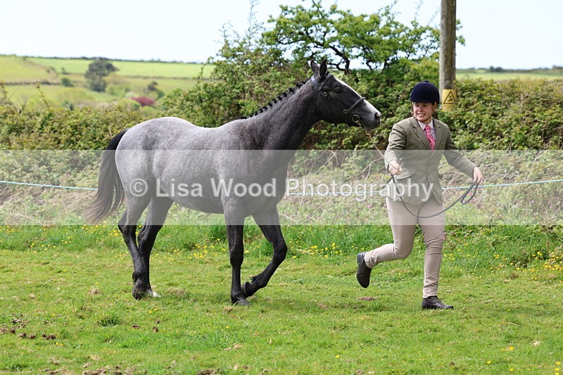 3E7A0486 - Class 20: Sports Horse