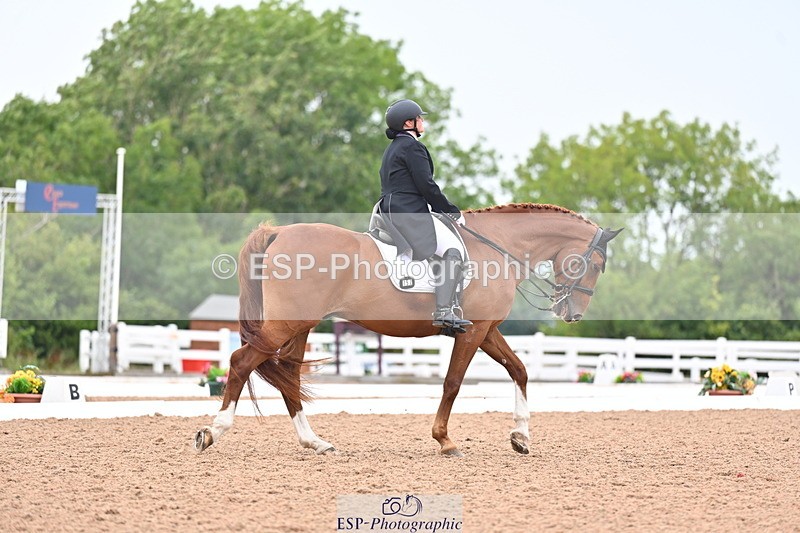 240815A-141735-01830 - 152-Sarah.Bull-Cantano.II