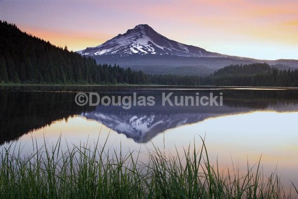 Morning Reflect - Oregon State