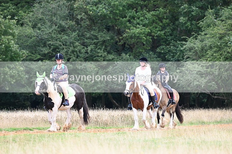 DSC_6232 - Time at Statue 12:17 to 12:44