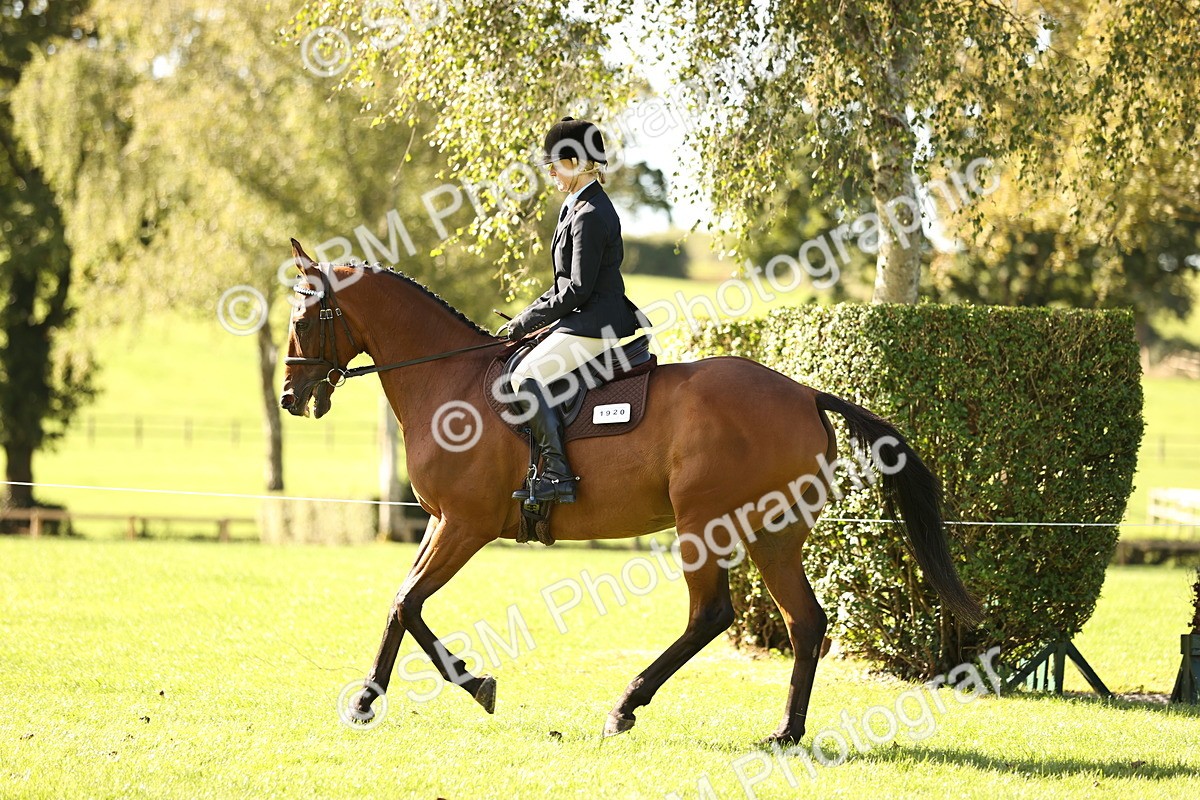 SBM_16947 - S2 - TSR Ridden Pony Showing