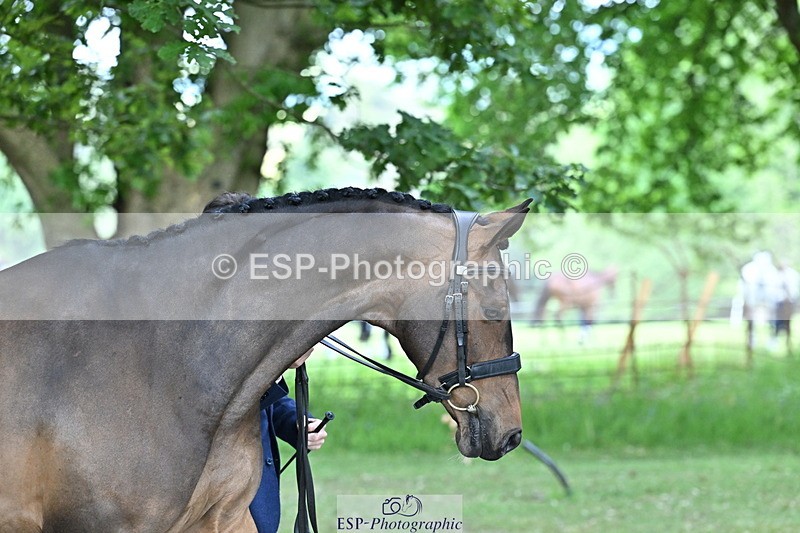 250521A-160809-00932 - C-205-Harry.Meade-IF.IN.DOUBT