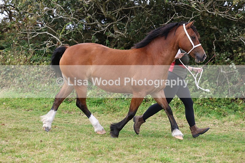 3E7A4570 - Class 16: Best Grass Kept