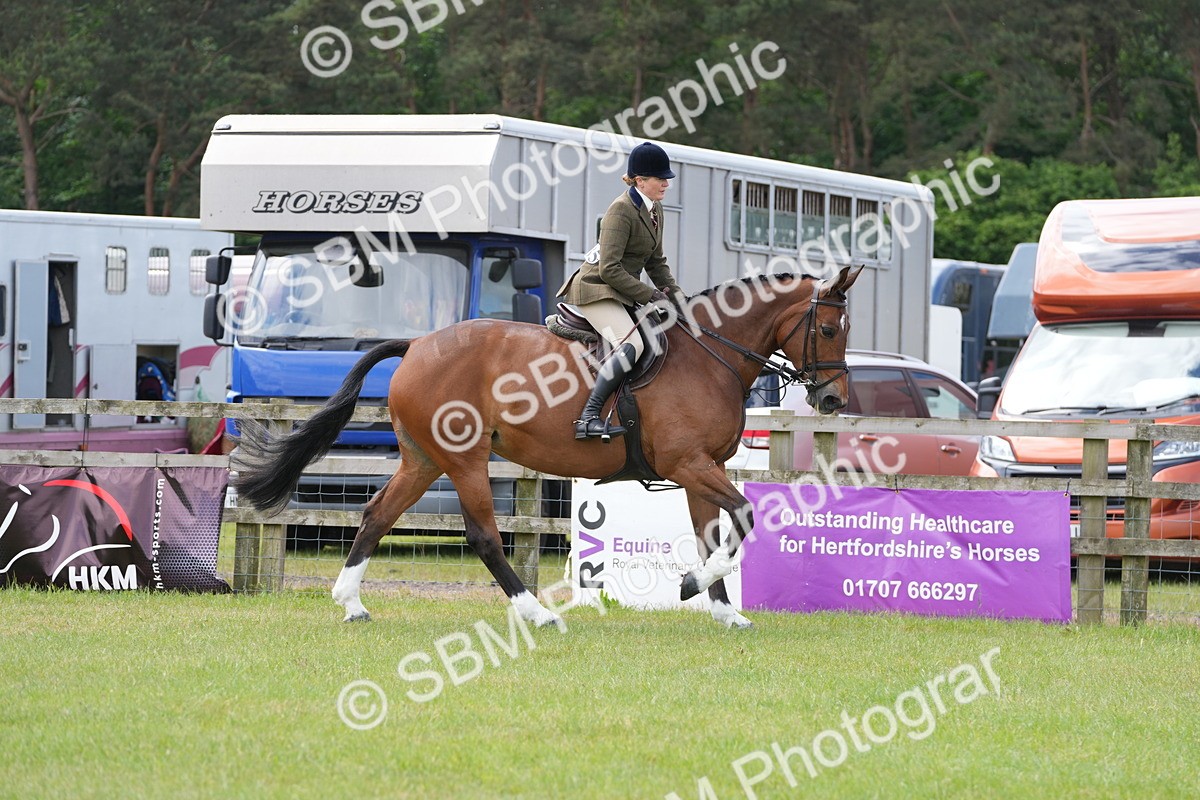SBM_15011 - Class 100-102 - RIHS Working Hunter