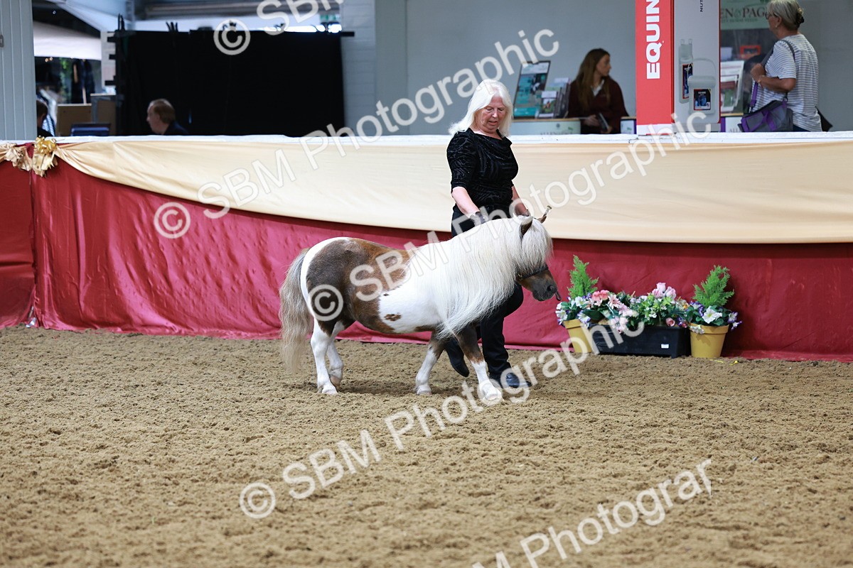 SBM_17322 - Class 951 - M&M IH Supreme Final