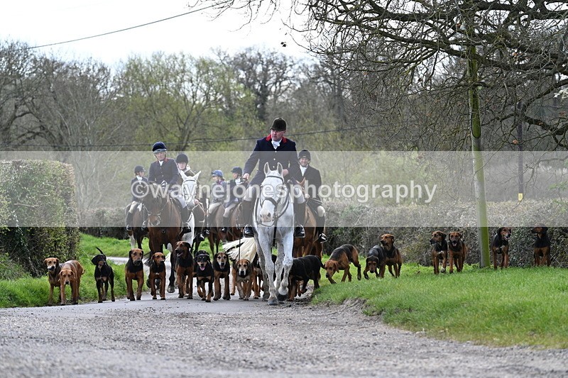 WJ7_9779 - Walk Home