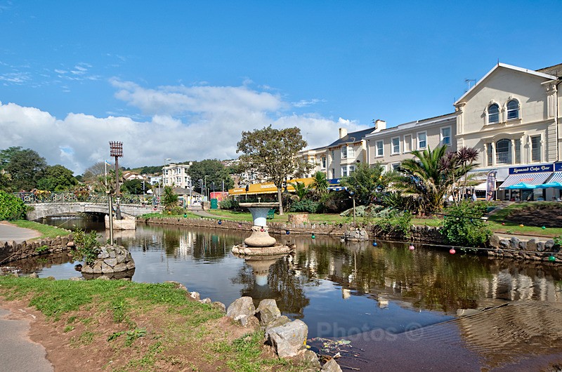 Dawlish Brook on a lovely sunny day - Dawlish (mainly black swans)