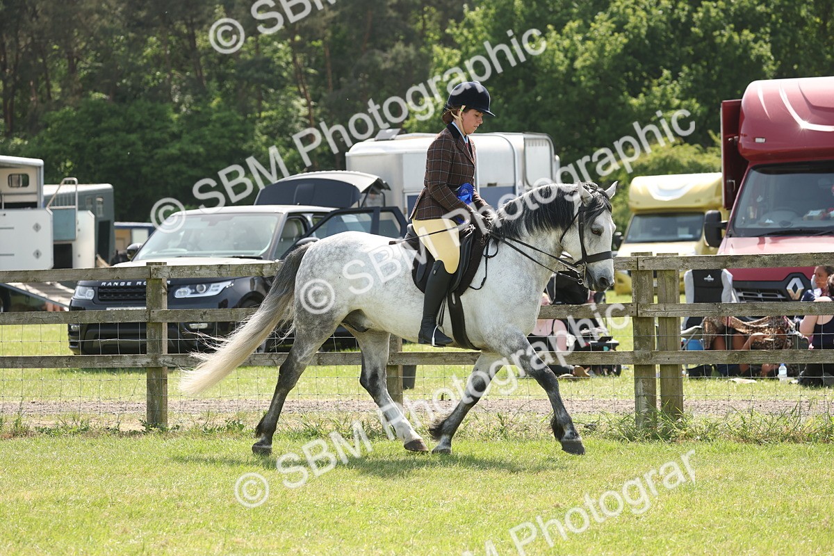 SBM_07649 - Class 26-30 - Mountain and Moorland Ridden