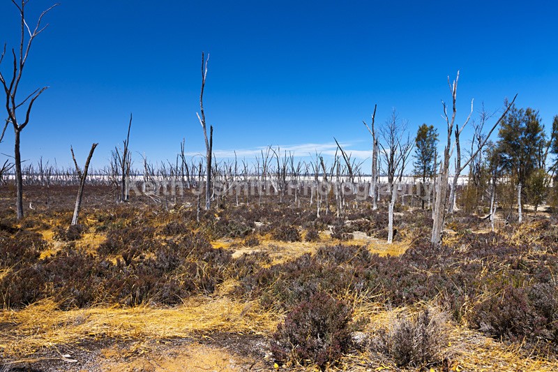 0SKJ5324 - Worldwide