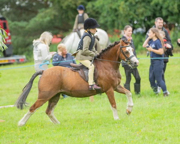 Dunblane show-82 - Dunblane and Doune Show Ring 1