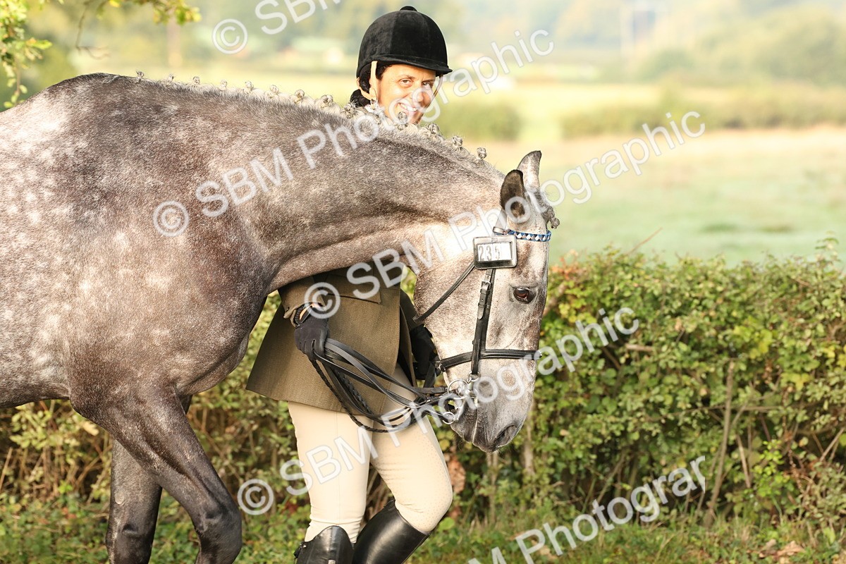 SBM_54926 - S52 - Riding Horse & Hack & thoroughbred In Hand