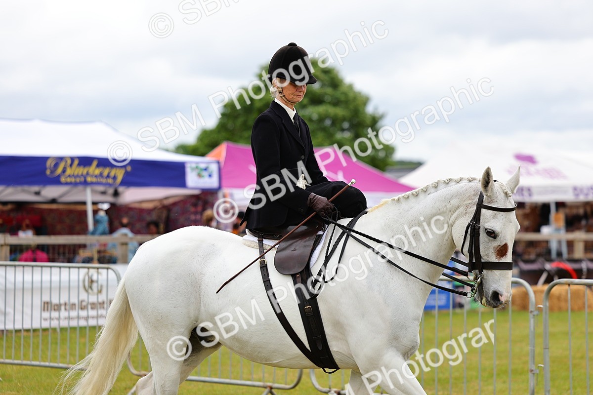 SBM_02694 - Class 9-11 Side Saddle including LIHS Rising Star Ladies Show Horse