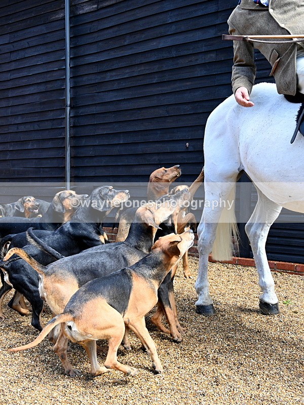 WJ7_7051 - Berks & Bucks at Blandy’s Farm 31-08-25