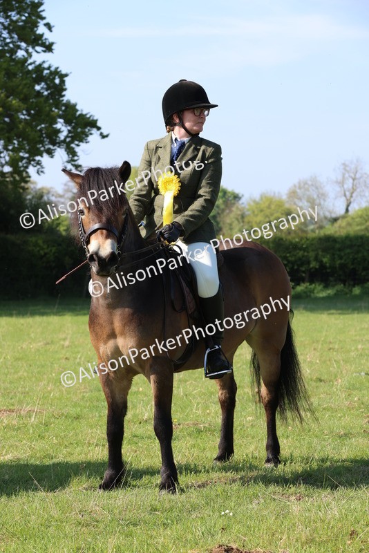 20250427-0583 - Class 17 - Novice Showing