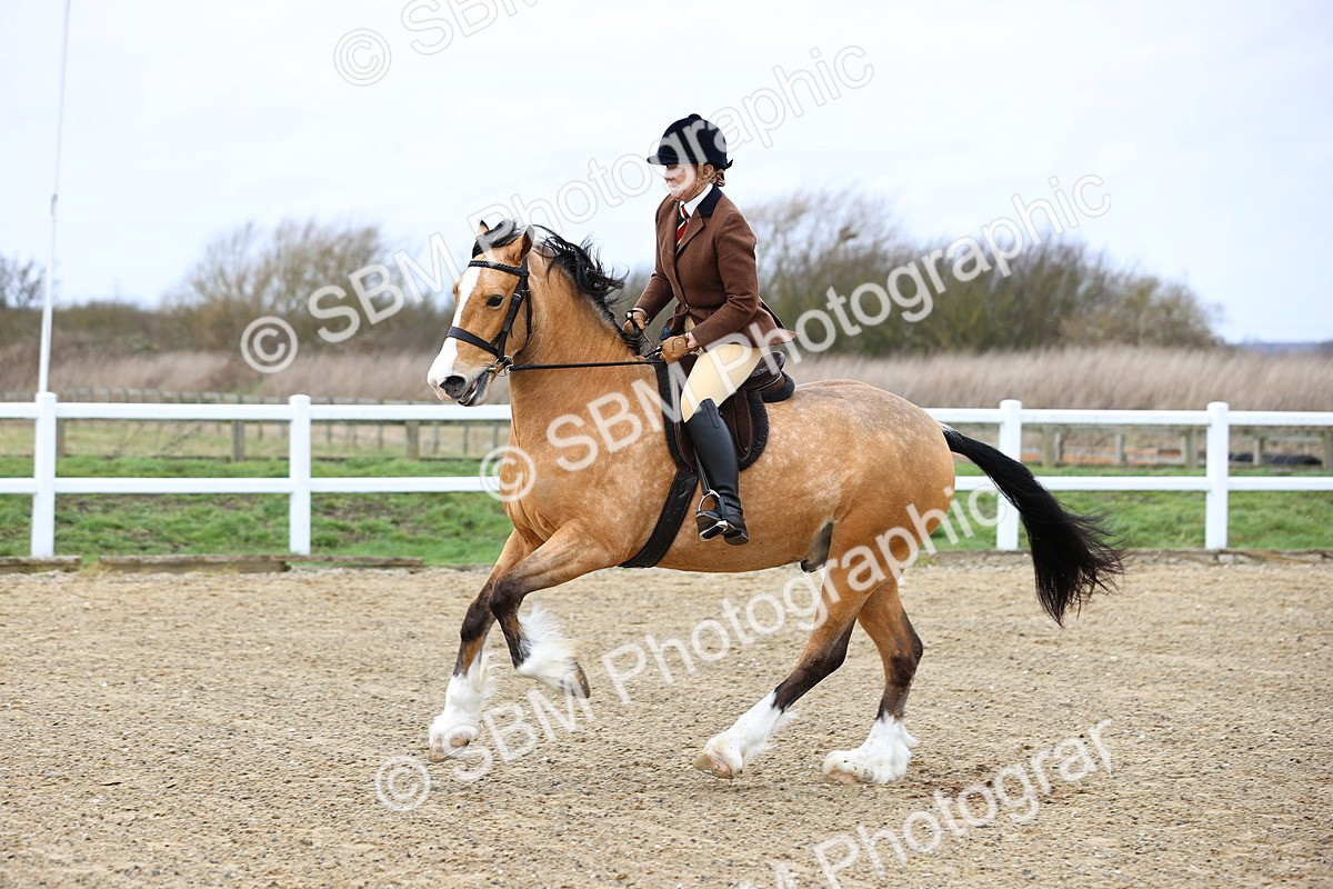 SBM_006941 - Class 29 - 30 - M&M Pure Novice Small-Large Breeds