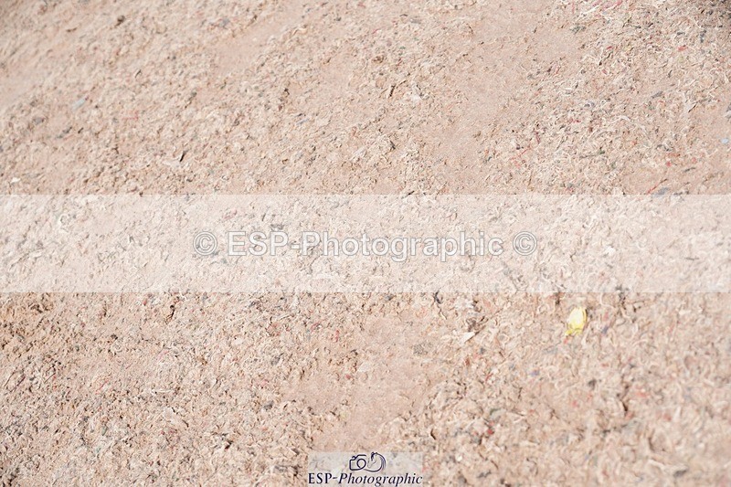 250511-103730-13311 - Cls 31 Snr Discovery and 1m Open