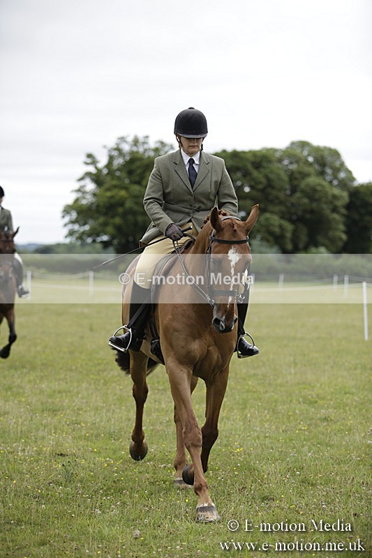 BVR160717-795 - Ring 1 BVRC Show 16/07/17