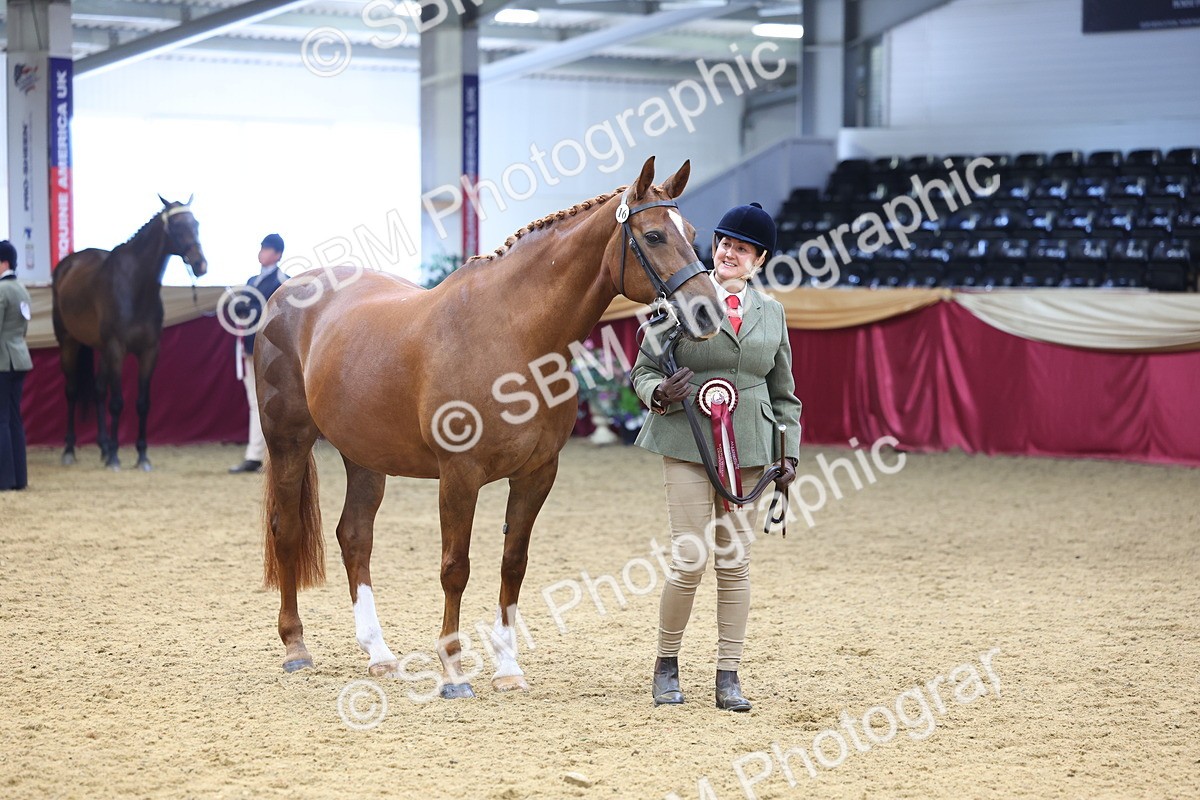 SBM_22998 - Class 903 - Supreme Final - IH Pre Vet