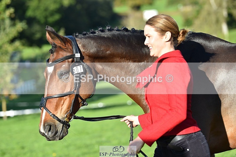 231022-095312-22093 - 507-EDGEDALE.BLUE.LADY-Katie.Lavin-TrotUp+SJ