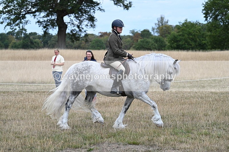 WJ7_4770 - Class 12 Ridden Cob