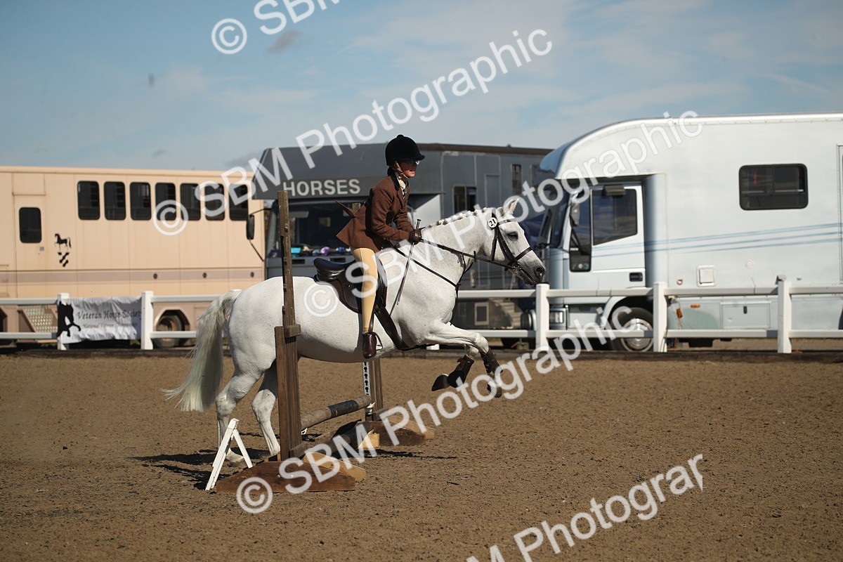 SBM_12750 - Class 504b - Junior Working Veteran - 40cm (20+)