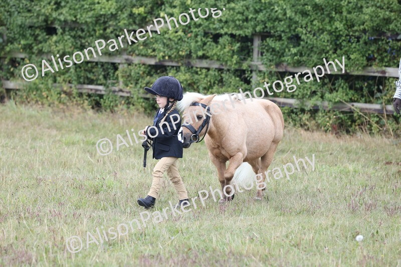 20250831-3012 - Class 23 - Child Handler