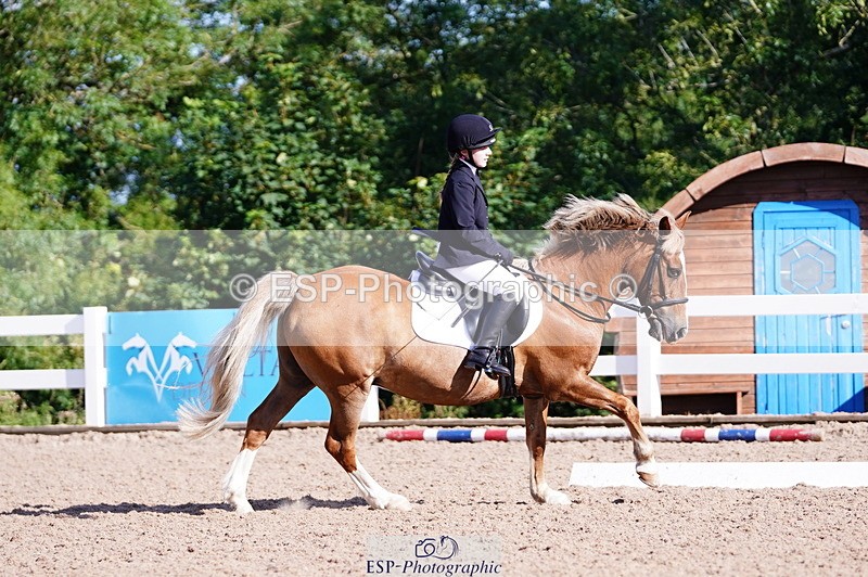 240809A-091254-00181 - Dressage Competition