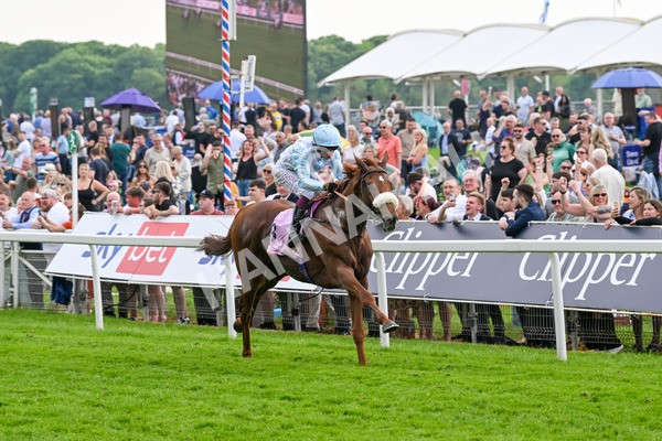 170524-Race 4-Giavellotto-8089 - Race 4 3.45pm Boodles Yorkshire Cup Stakes