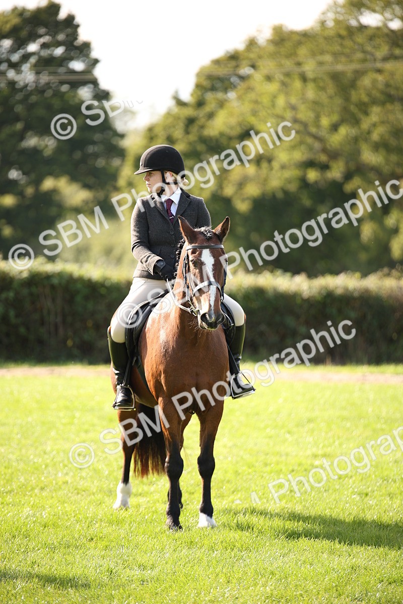 SBM_50141 - S26 - Young Veteran - Ridden