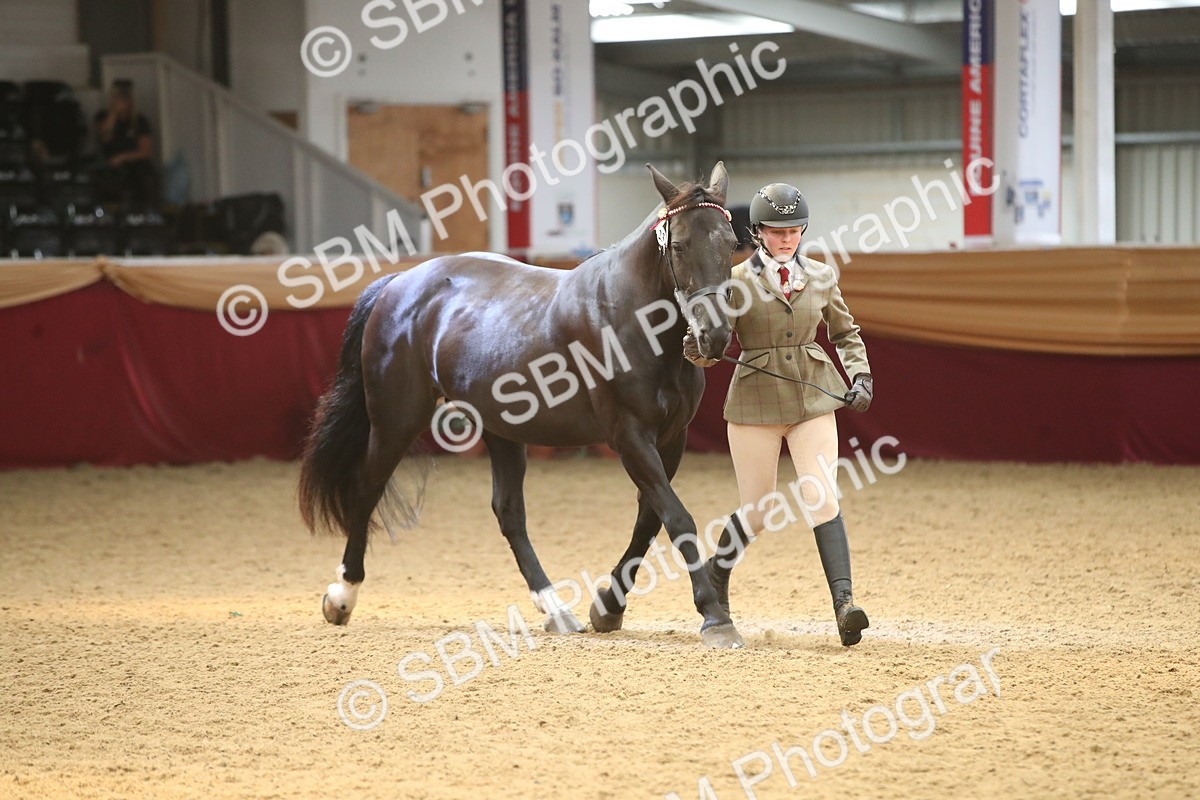 SBM_05327 - Class 8R - Regional IH Veteran