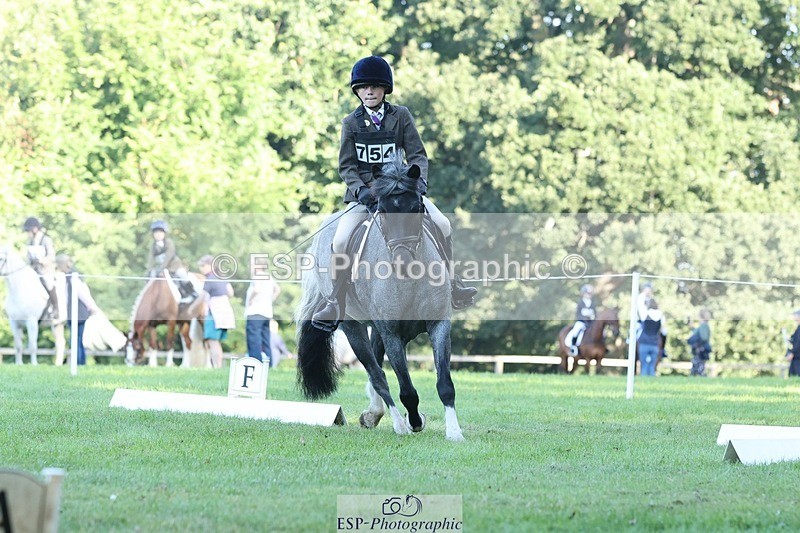 250823A-085059-25788 - Arena D