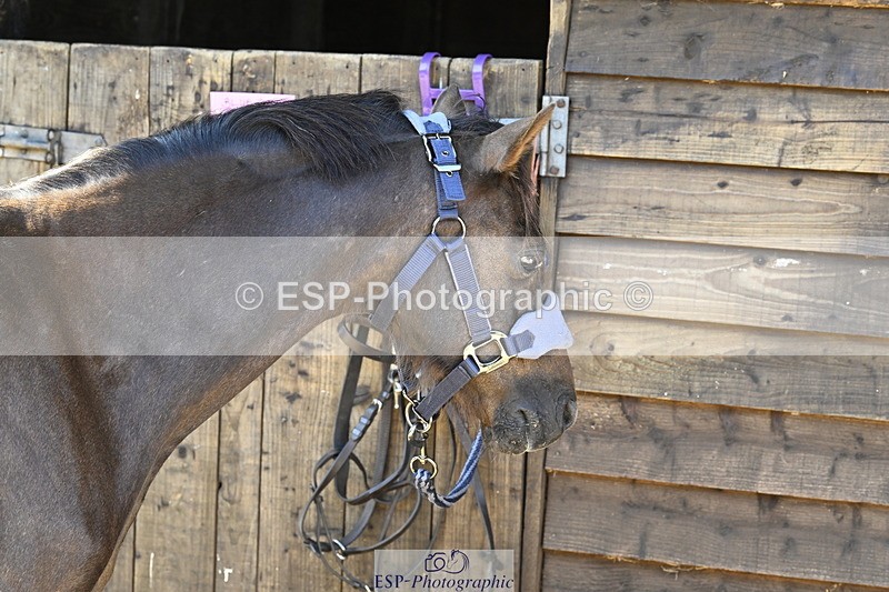 240728B-092723-00020 - Sunday Stable Shots and Fancy Dress