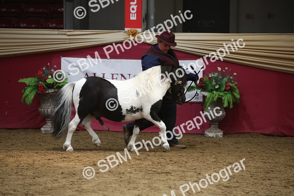 SBM_05601 - Class 9R - Regional IH Pre-Vet