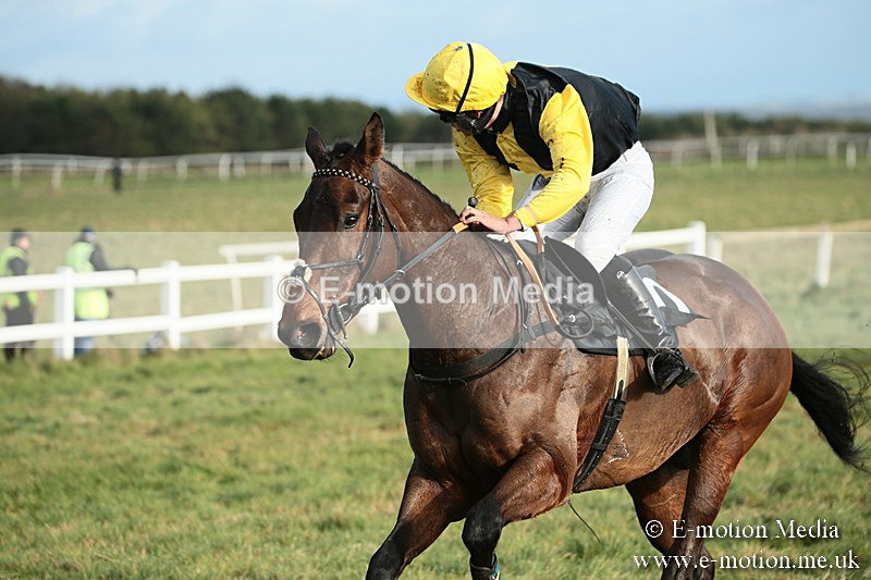 PtP 021218-43 - Hursely Hambledon Hunt Point-to-Point - Larkhill 02/12/18
