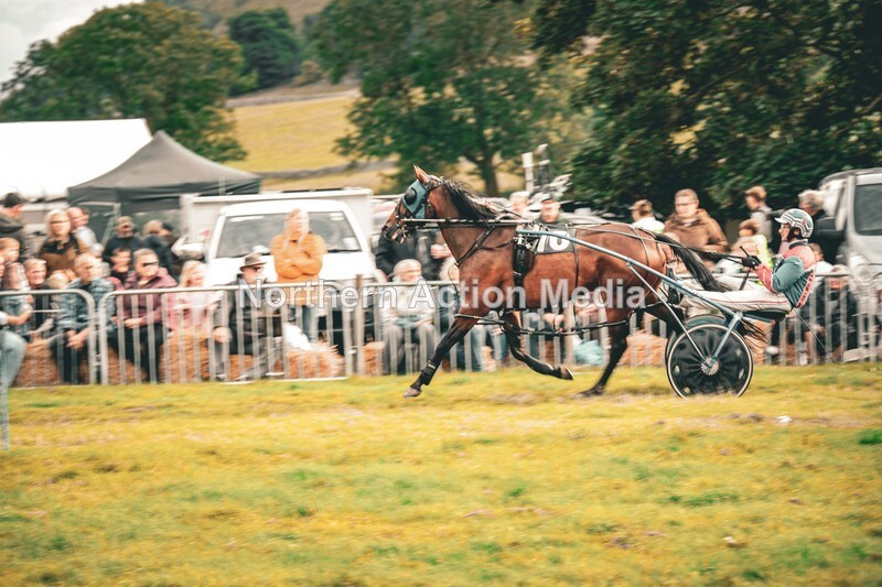 DSCF7234 - Kilnsey Harness racing