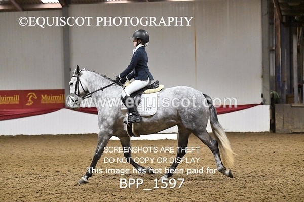 BPP_1597 - PC GRASSROOTS DRESSAGE