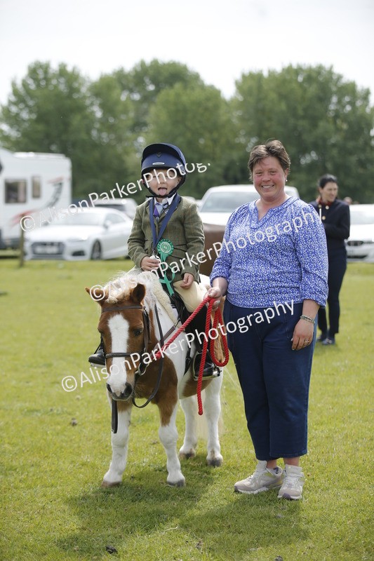 20260426-2174 - Class 9 - Handsomest Gelding